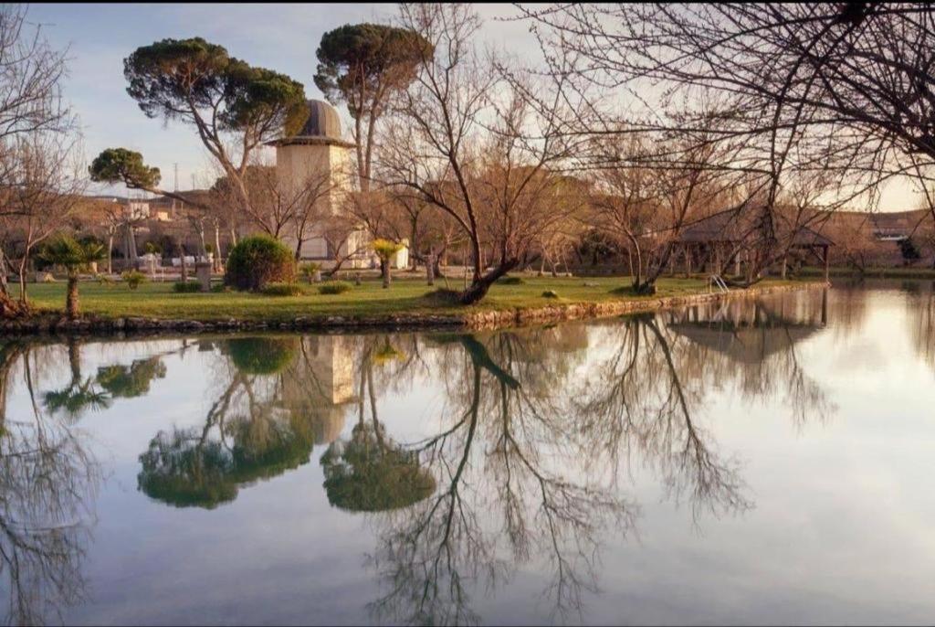 Buganvilla * Alhama de Aragón