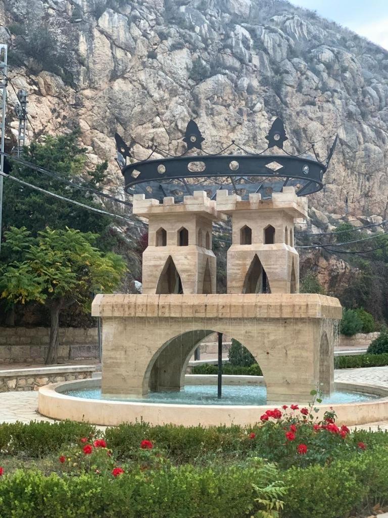Buganvilla Alhama de Aragón